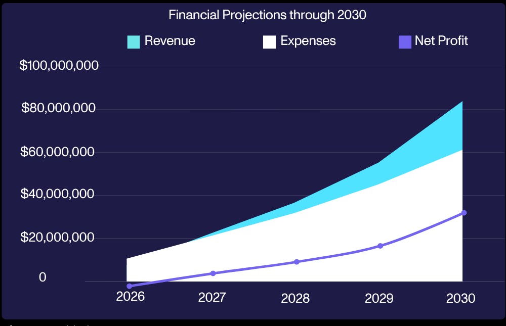 Financial projections through 2030: revenue, expenses, net profit
